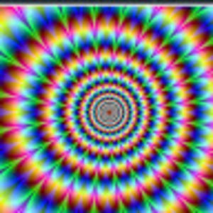 Meet your Posher, Shawn the